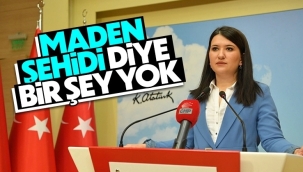 CHP Genel Başkan Yardımcısı Gökçen'den partisine: Maden şehidi diye bir şey yok