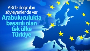 Macaristan: Arabuluculuk konusunda başarılı olan tek ülke Türkiye