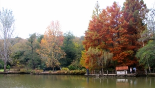Atatürk Arboretumu sonbahar renklerine büründü
