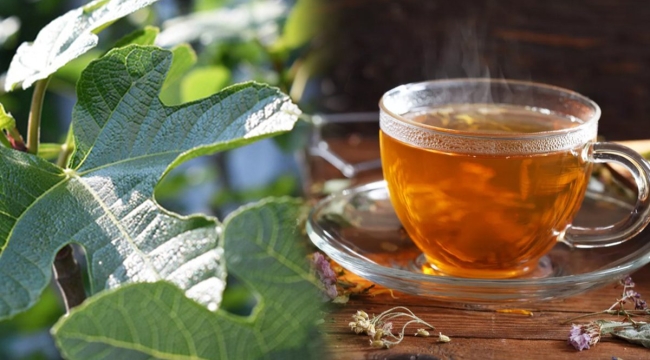 İncir yaprağı faydaları nelerdir, neye iyi gelir? İncir yaprağı çayı tarifi!