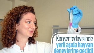 Türkiye'de kanser aşısı çalışmalarında hayvan deneylerine geçiliyor