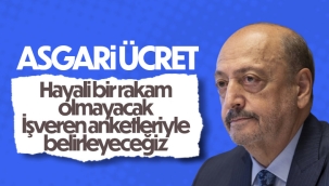 Vedat Bilgin'den asgari ücret zammı açıklaması