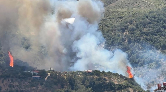 Hatay'da Korkutan Yangın 