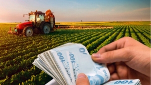 47 milyon TL'lik tarımsal ödeme hesaplarda