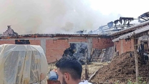 Bilecik'te samanlık alanda yangın çıktı