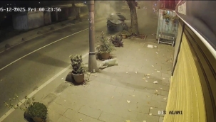 Beykoz'da ehliyetsiz sürücünün kullandığı otomobil ağaca çarpıp yola savruldu: 2 yaralı