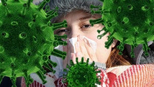 Türkiye'de sezonu başladı! Uzmanından uyarı: "Ölümle dahi sonuçlanabiliyor"