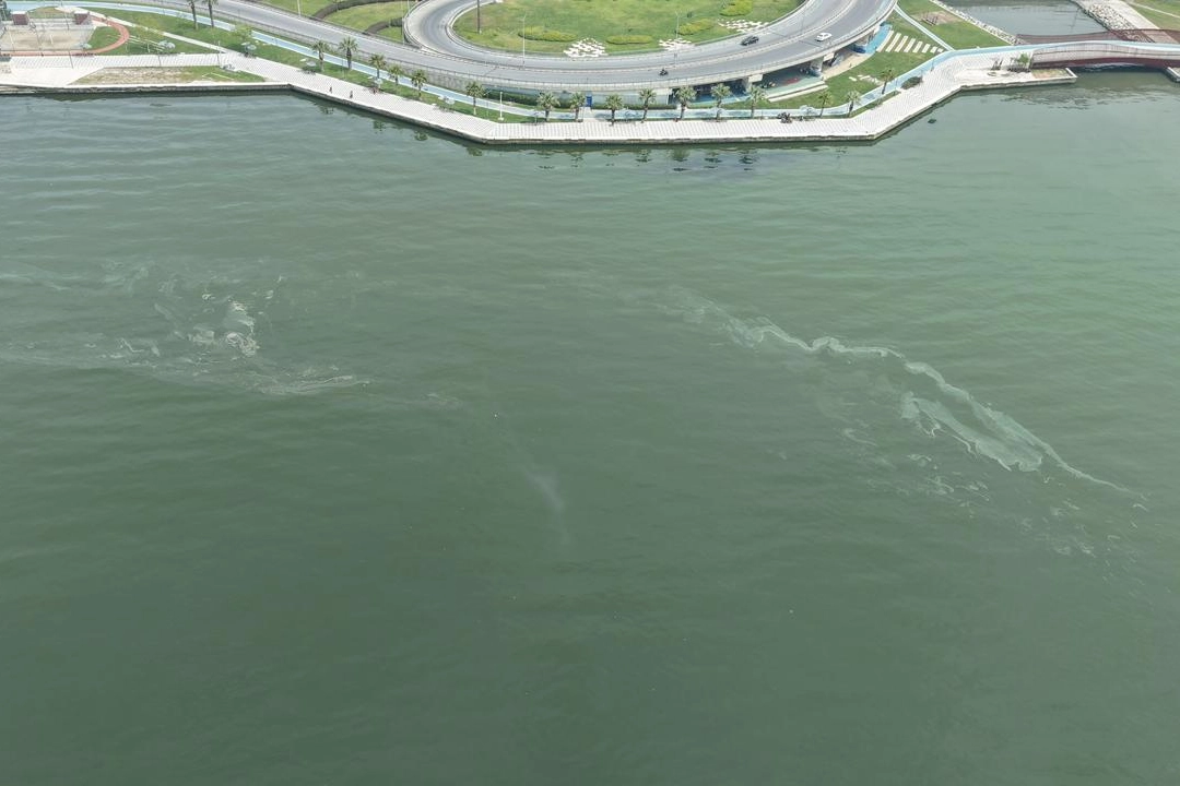 İzmir Körfezi'nde kirlilikte 10'uncu tespit