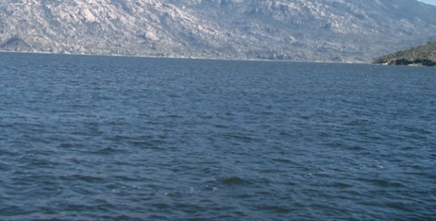Bafa Gölü'nde balık bereketi
