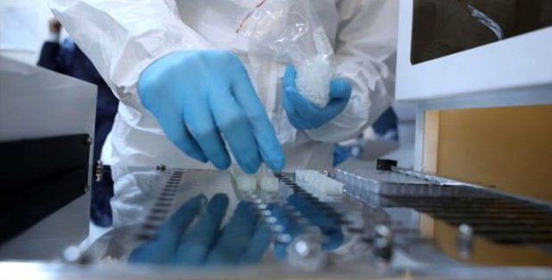 Bilim insanları tespit etti! Koronavirüs kendine yeni bir yaşam alanı daha buldu