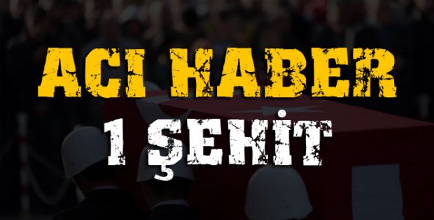 Bitlis'te 1 uzman çavuş şehit