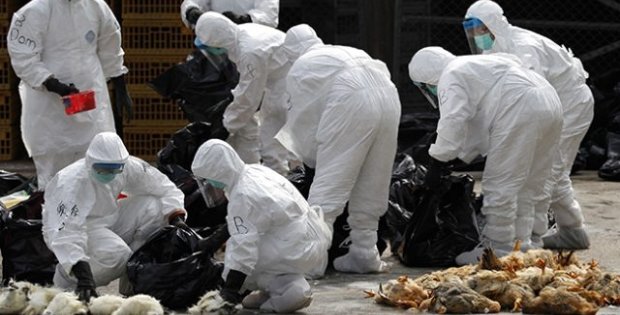 Çin'de son 24 saatte koronavirüsten 64 kişi hayatını kaybetti, toplam ölü sayısı 427'ye çıktı