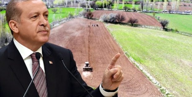 Cumhurbaşkanı Erdoğan'ın talimatıyla 7 ilde çiftçiye ücretsiz arazi verilecek
