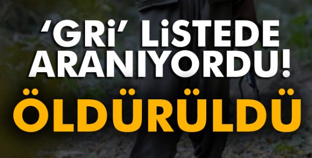'Gri' listede aranan terörist hava harekatında öldürüldü