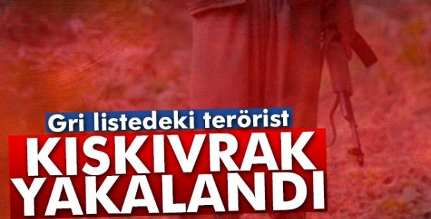 Gri listedeki terörist yakalandı