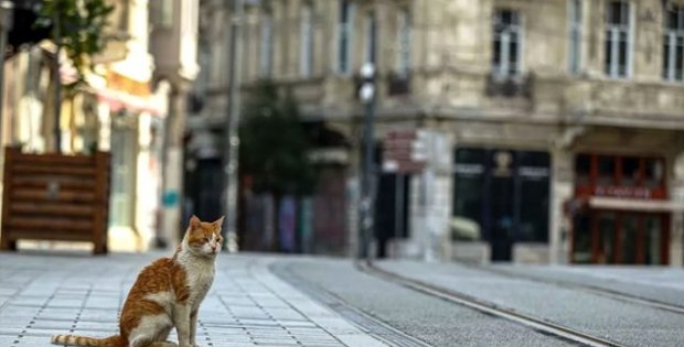 Hafta sonu uygulanacak sokağa çıkma yasağında marketler açık olacak mı? Bakanlık tüm ayrıntıları paylaştı