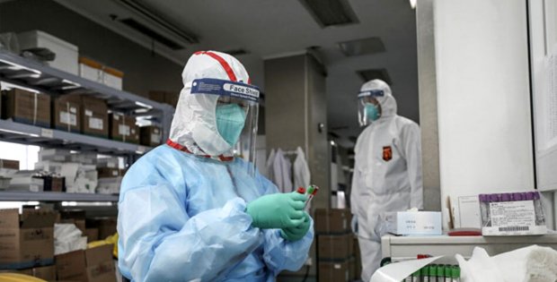Kanada'da koronavirüsün ardından Salmonella salgını paniği! 72 saat içinde etkisini gösteriyor