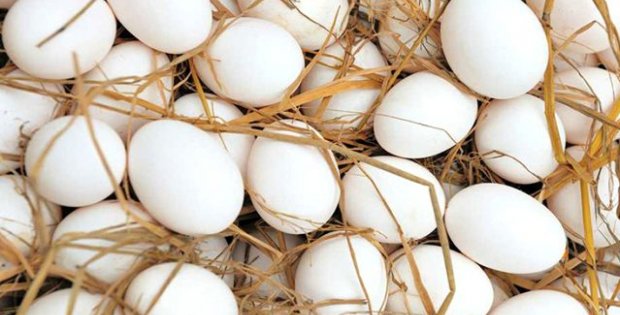 Koronavirüs salgını yumurta sektörüne de darbe vurdu, 6 tavuk çiftliği iflas etti