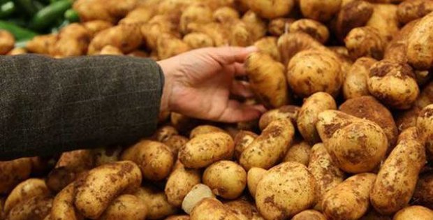 Suriye'den ithal edilen patateste korkunç şüphe