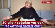 20 yıldır soğukta yaşıyor