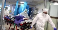 ABD'de koronavirüs nedeniyle bir günde 1344 insan hayatını kaybetti