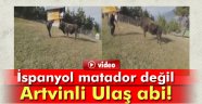 Artvinli boğa yetiştiricisinden İspanyol matadorlara ders