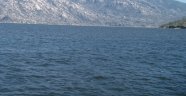 Bafa Gölü'nde balık bereketi