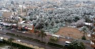 Bağdat'ta 12 yıl sonra kar yağdı, hurma ağaçları beyaza büründü