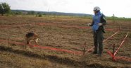 Bosna Hersek'in mayınlarla mücadelesi sürüyor