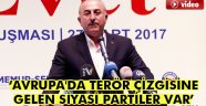Çavuşoğlu: Avrupa'da terör çizgisine gelen siyasi partiler var