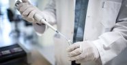 DSÖ: Koronavirüsün tedavisi için geliştirilen aşıların 3 tanesinde insanlı test çalışmaları başladı