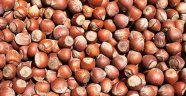 Erdoğan açıkladı... Fındık kaçtan alınacak?