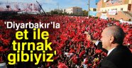 Erdoğan: 'Diyarbakır'la et ile tırnak gibiyiz