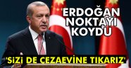 Erdoğan: 'Sizi de cezaevine tıkarız'