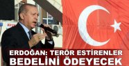 Erdoğan: Terör estirenler, bedelini ödeyecek
