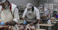 Et ve Süt Kurumu, pandemiden etkilenmedi