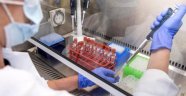 Fransız ilaç şirketi Sanofi'nin geliştirdiği koronavirüs aşısı 10 eurodan az olacak