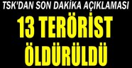 Genelkurmay: 13 terörist öldürüldü