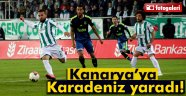 Giresunspor 0 Fenerbahçe 2