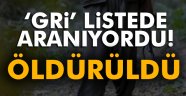 'Gri' listede aranan terörist hava harekatında öldürüldü