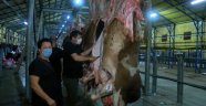 İBB'ye ait kurban kesim alanında kasaplar kaçtı, vatandaş kendi kurbanını kendisi kesti