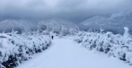 İlk kar düştü! 'Bu kış çok fena geçecek'