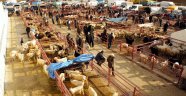 Kastamonu'da hayvan pazarları kapatıldı