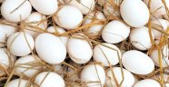 Koronavirüs salgını yumurta sektörüne de darbe vurdu, 6 tavuk çiftliği iflas etti