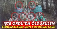 Ordu'da öldürülen teröristler