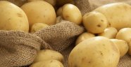 Patatesi 63 kuruştan sattık, şimdi 3 liraya ithal ediyoruz
