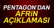 Pentagon'dan Afrin açıklaması