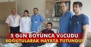 soğutularak hayata tutundu