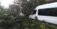Sultangazi de Fırtına nedeniyle ağaç minibüsün üzerine devrildi
