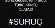 Teror vahşet Suruç
